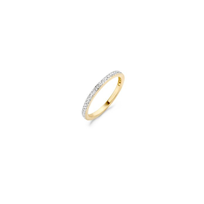 Златен пръстен BLUSH 1119BZI/52