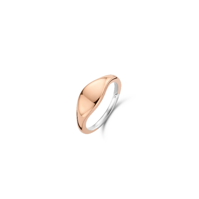 Дамски сребърен пръстен Ti Sento 12223SR/54