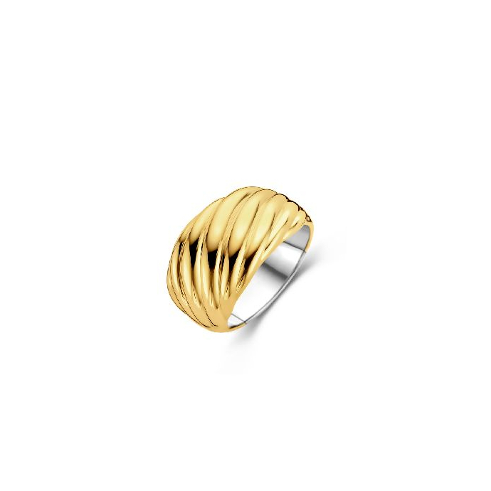 Дамски сребърен пръстен Ti Sento 12238SY/56