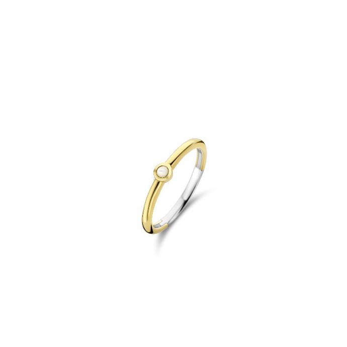 Дамски сребърен пръстен Ti Sento 12253MW/48