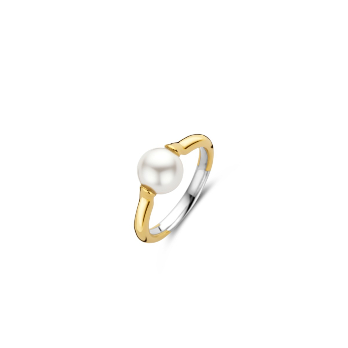 Дамски сребърен пръстен Ti Sento 12290YP