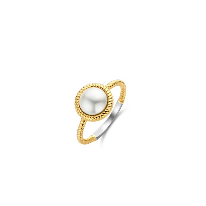 Дамски сребърен пръстен Ti Sento 12295YP