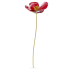 Декоративно цвете Swarovski GARDEN TALES:RED POPPY 5646018