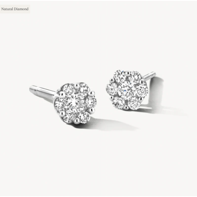 Дамски златни обици с диаманти Blush 7604WDI